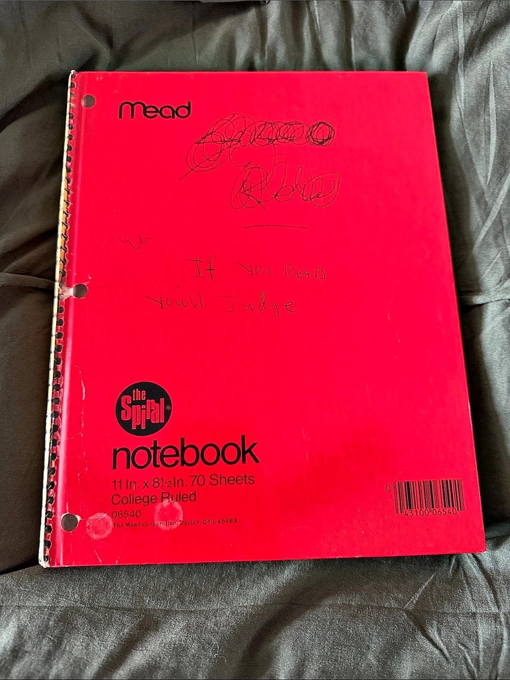 Kurt Cobain Journals